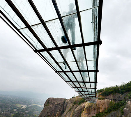 Transparent Suspension Bridge