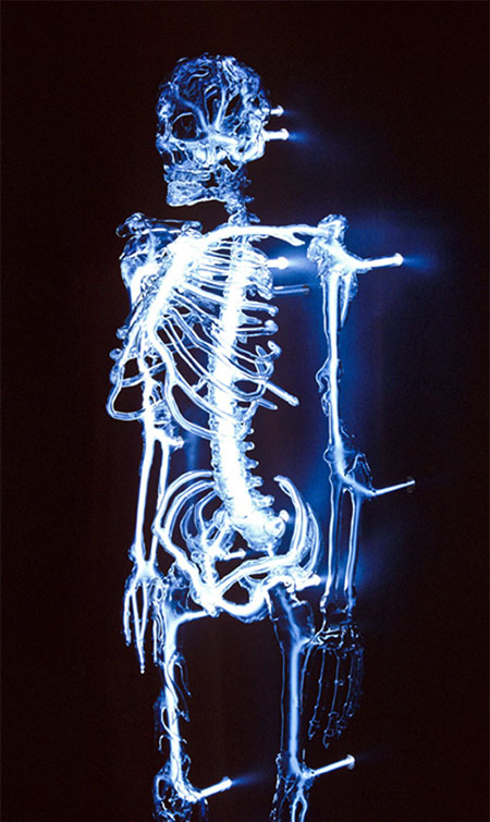 Eric Franklin Glass Skeleton