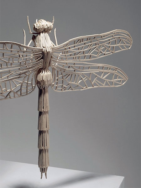 Kyle Bean Matchstick Insects