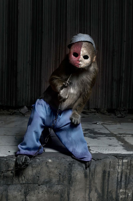 Monkey Wearing Doll Mask