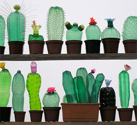 Recycled Plastic Bottles