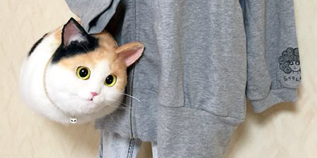 Realistic Cat Bags
