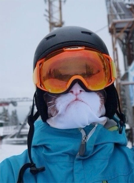 Cat Face Ski Mask