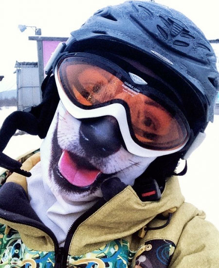 Dog Face Ski Mask