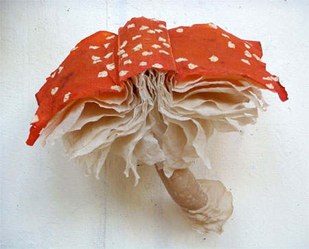 Mushroom Book