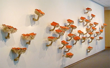 Melissa Jay Craig Book Mushrooms