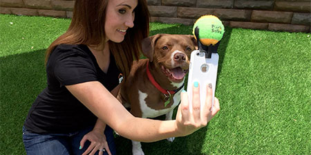 Selfie Stick for Dogs