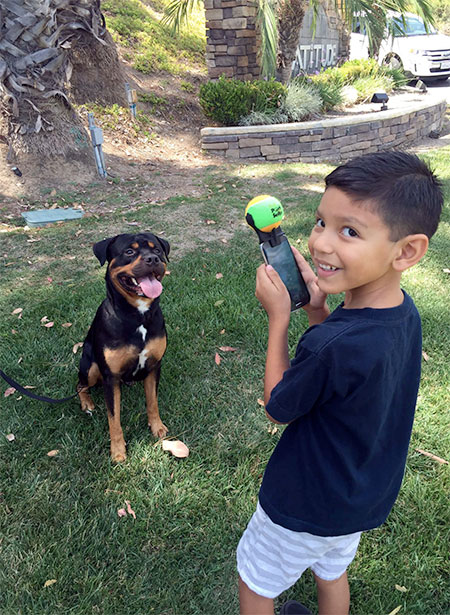 Pet Selfie Stick