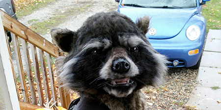 Rocket Raccoon Costume