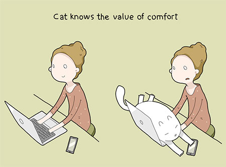 Cat Advantages