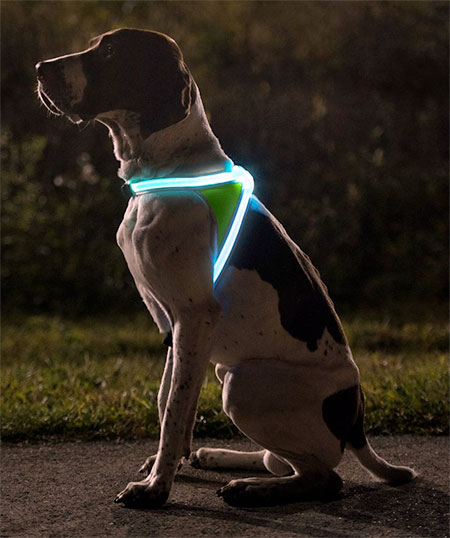 Noxgear LightHound