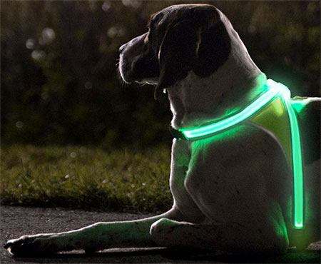 LightHound