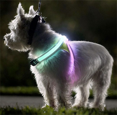 LED Dog Vest