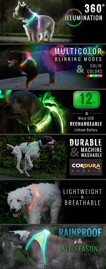 LED Light Dog Vest