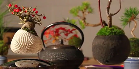 Levitating Bonsai Trees