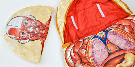 Anatomical Sleeping Bag