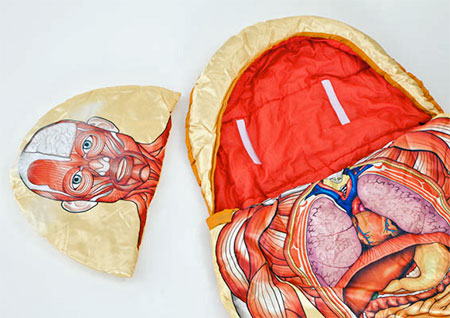 Anatomy Sleeping Bag