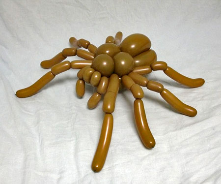 Balloon Spider