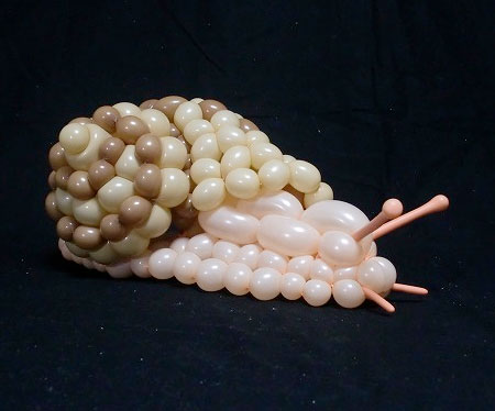 Balloon Snail