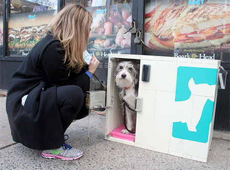 Dog Parking Boxes