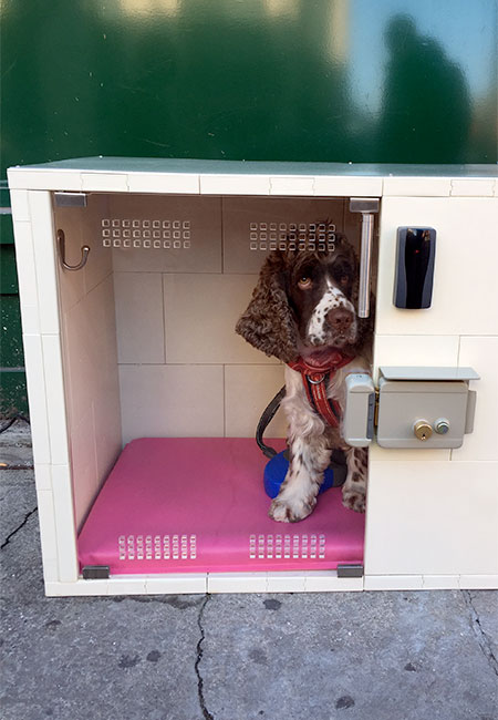 Dog Parking Box