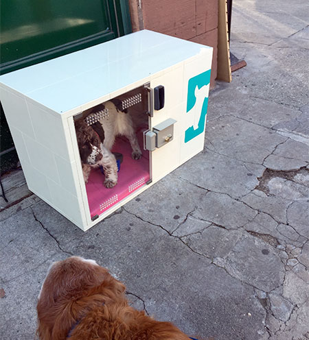 Dog Parking Machine