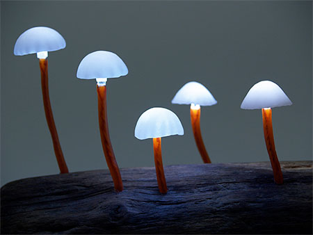 Mushroom Lamp