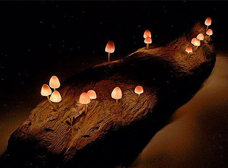 Mushroom Lights