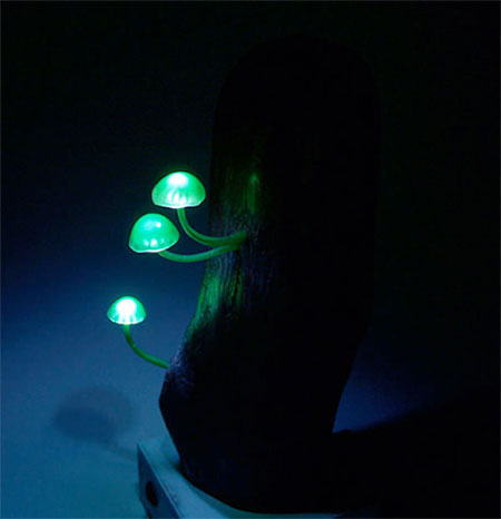 LED Mushroom Lights