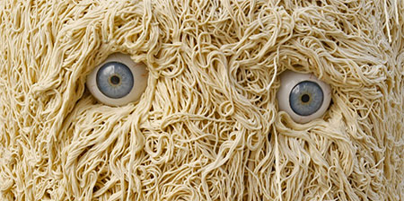 Spaghetti Monster