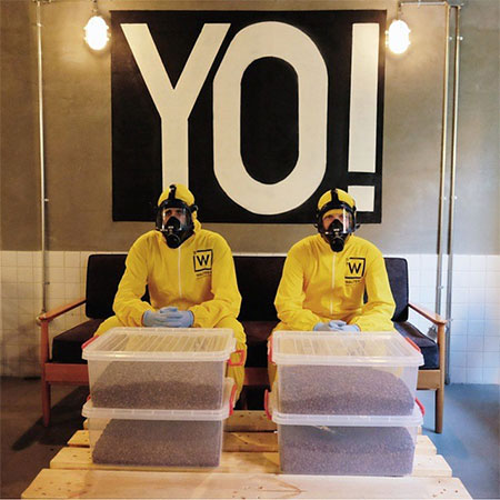 Breaking Bad Themed Cafe