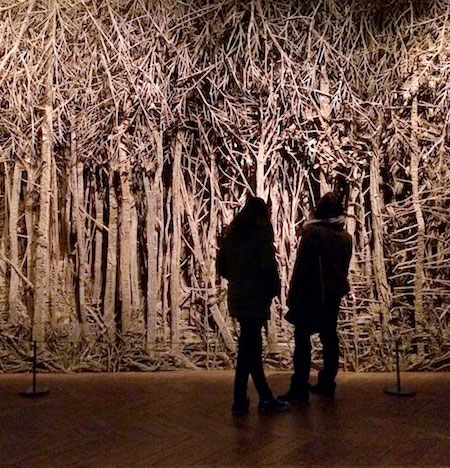 Eva Jospin Cardboard Forest