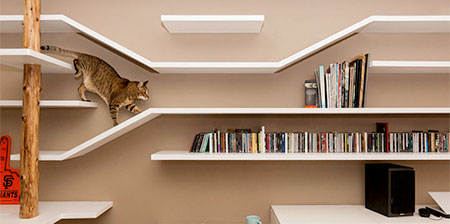 Cat Bookshelves