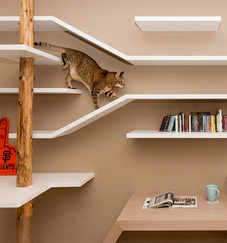 Cat Shelves Playground