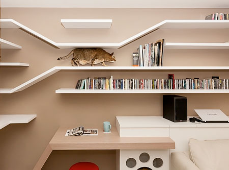 Cat Bookshelves Apartment