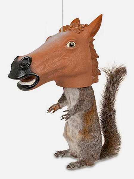 Horse Head Squirrel