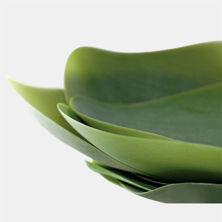 Nao Tamura Leaf Plates