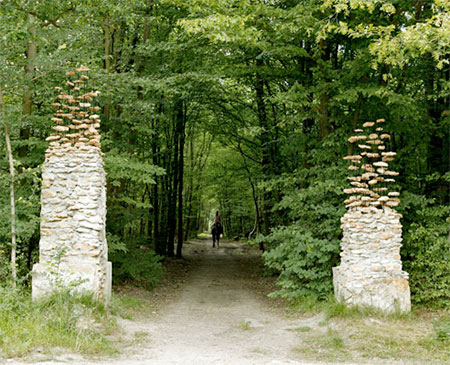 Cornelia Konrads Levitating Sculptures