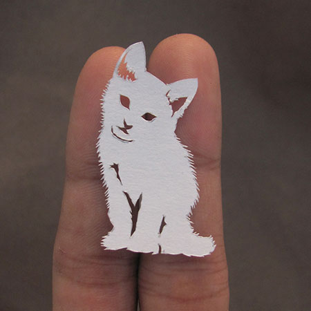 Paper Cut Animals