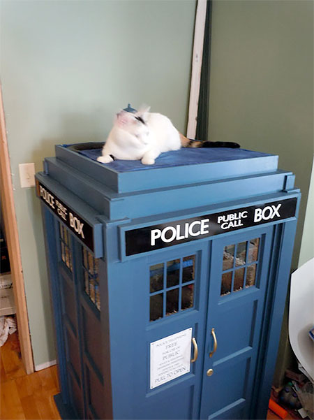 Doctor Who TARDIS Cat Fort