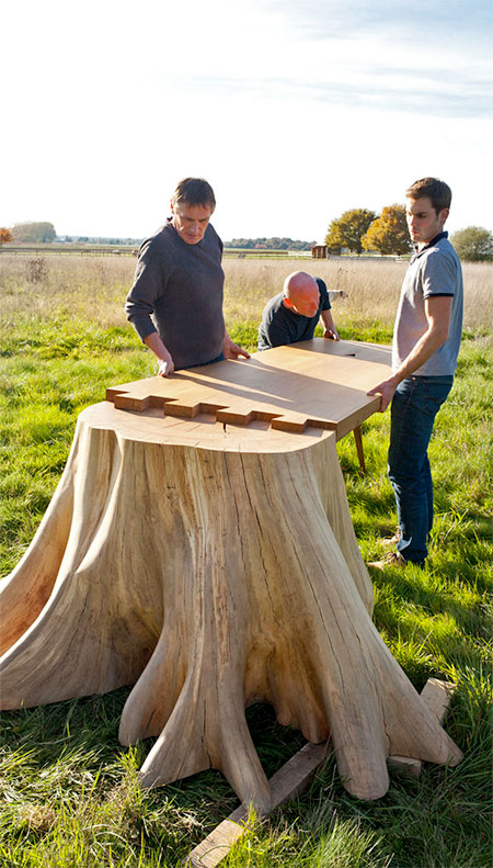 Tree Stump Coffee Table