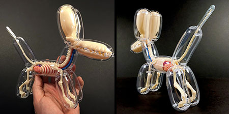 Anatomy of Balloon Animals