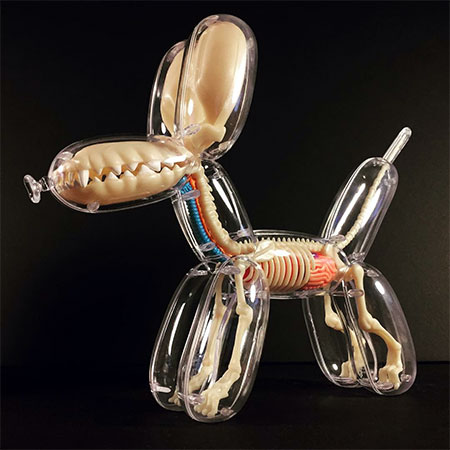 Anatomical Balloon Animals