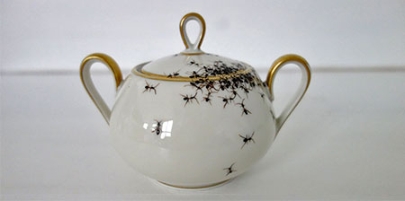 Porcelain Covered with Ants