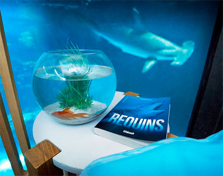 Airbnb Aquarium Room