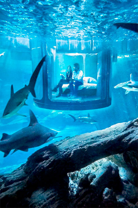 Airbnb Underwater Hotel Room