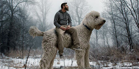 Giant Dog