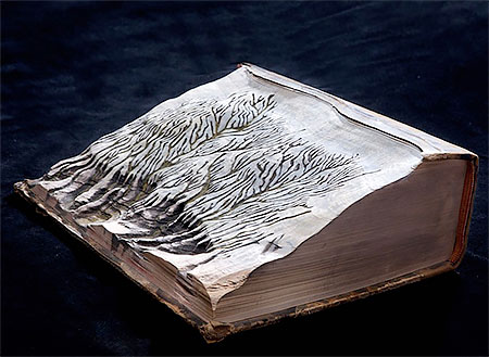 Guy Laramee Snow Covered Book Mountains