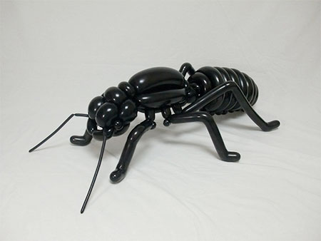 Balloon Ant