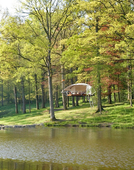 Trees and People Hanging Tree House